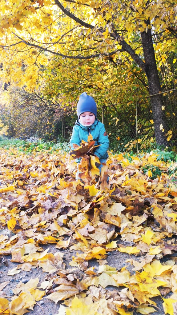 Осенние прогулки с ребенком